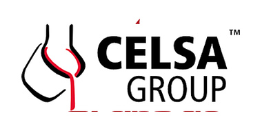 Celsa Group