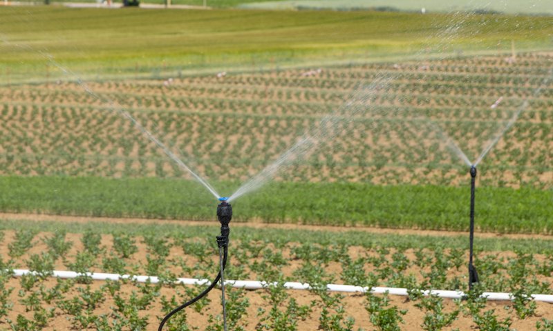 Agricultura